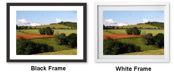 Select Your frame